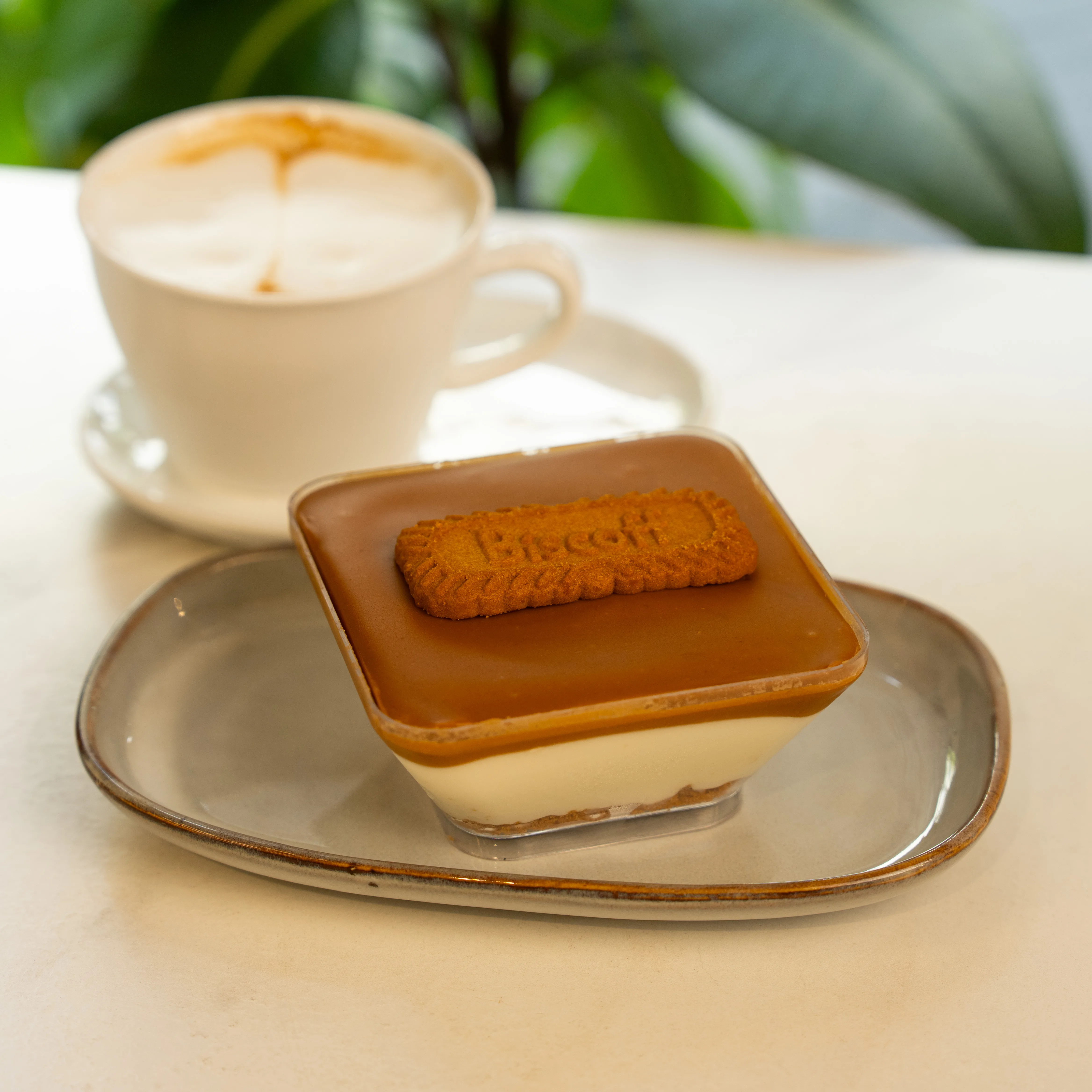 Lotus Cheesecake