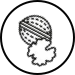 Alerjen